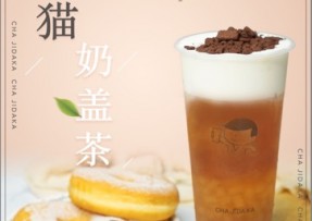 鲸鱼直播：熊猫奶盖茶